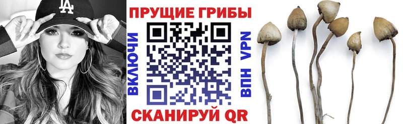 Псилоцибиновые грибы мухоморы  площадка состав  Красноуфимск  где можно купить  