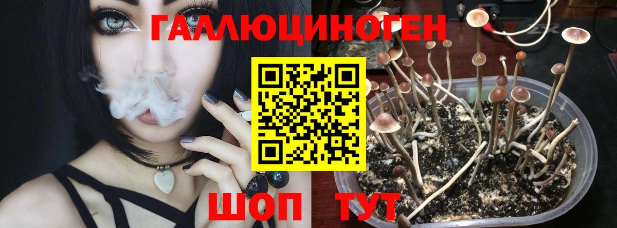 Красноуфимск  Галлюциногенные грибы прущие грибы  Вход с VPN 